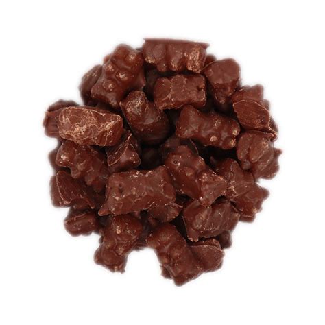 Koppers 8 Milk Chocolate Gummy Bears Casani Candy Co