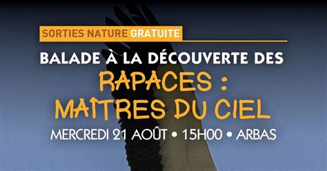 Balade à La Découverte Des Rapaces Maîtres Du Ciel Arbas dates