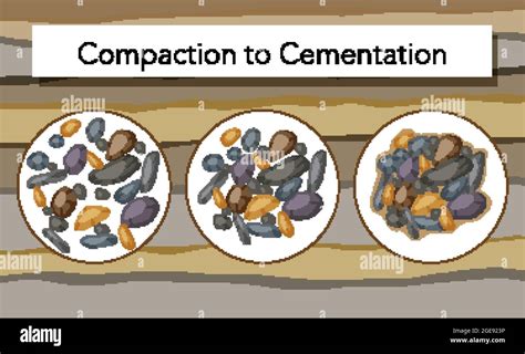 Process Of Compaction To Cementation For Education Illustration Stock