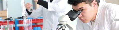 New Uzbekistan University World University Rankings The