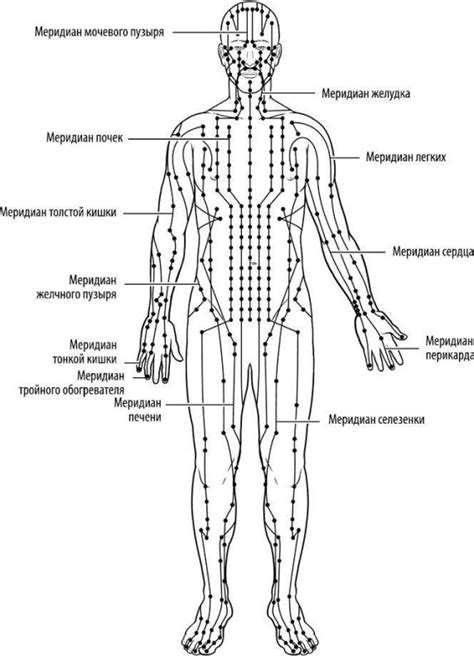 Китайская медитация: тайны древней практики раскрыты!