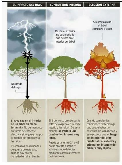 Los Rayos Latentes Un Peligro Para Los Incendios Forestales