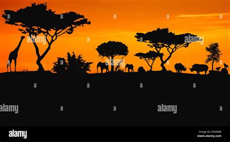 Animals in the savannah Stock Photo - Alamy