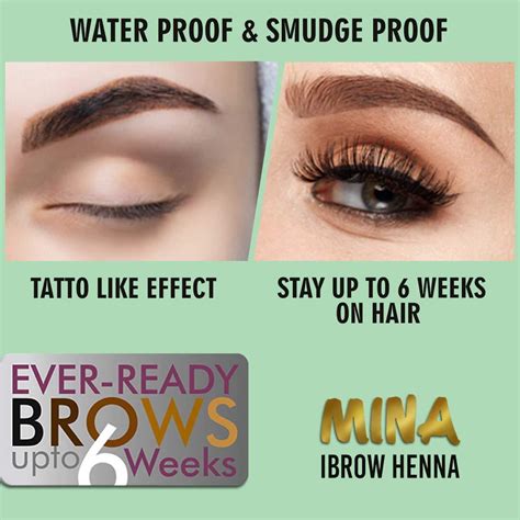 MINA Ibrow Henna Semi Permanent Tint Kit Ash Blonde Professional Tinting Coloring Covers