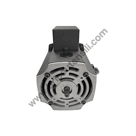 Motor Ass Y For Thickness Planer FEMI PF204 CYCLONE