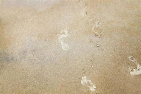 Dirty Footprints Stock Photos Images And Backgrounds For Free Download