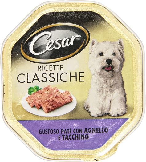 Cesar Pate Con Agnello E Tacchino Gr 150 Amazon It Prodotti Per