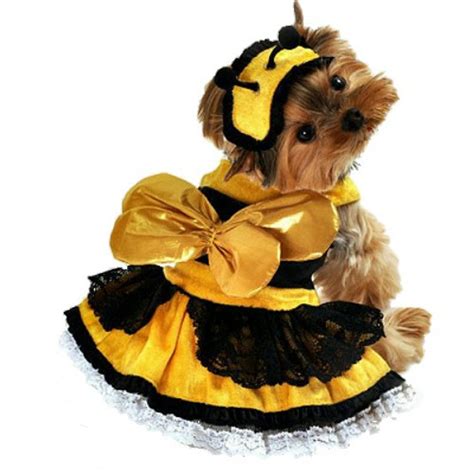Honey Bee Dog Costume | Anit Pet at PupRwear