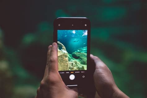 Entdecken Sie Warum eine Vagina nach Fisch Riecht Eine Erklärung der Ursachen