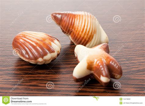 Chocolate seashells stock photo. Image of cocoa, romantic - 14478002