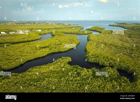 Aerial view of Florida wetlands with green vegetation between ocean ...