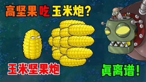 植物大战僵尸：高坚果吃了玉米炮？新植物玉米坚果炮，真的离谱！ 腾讯视频