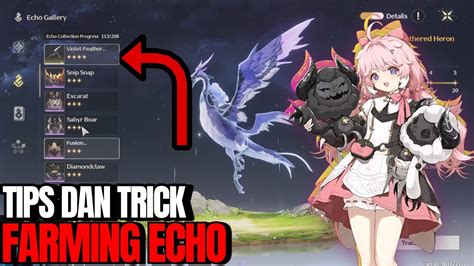 PAKAI TRICK INI AGAR KAMU BISA 100 DAPAT ECHO YANG KAMU MAU