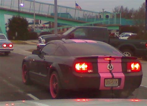 Black Mustang With Pink Stripes