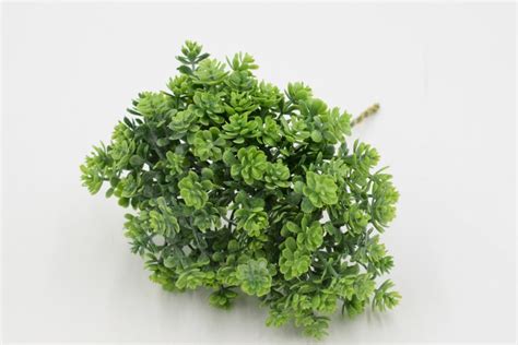 Зелень для букетов: купить по цене от 300 руб ☛ Доставка по всей России ...