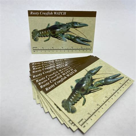 RC-IDCard-15 - Rusty Crayfish — Identification Card – University of ...