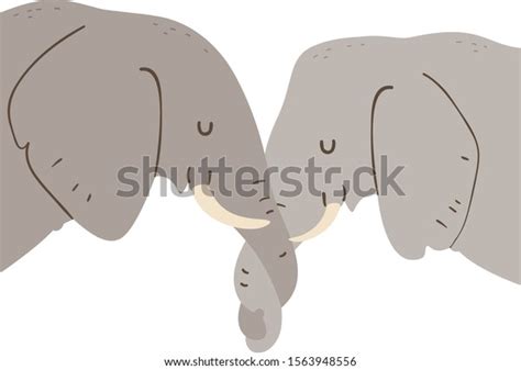 Illustration Elephants Trunks Entwined Showing Affection Stock Vector Royalty Free 1563948556