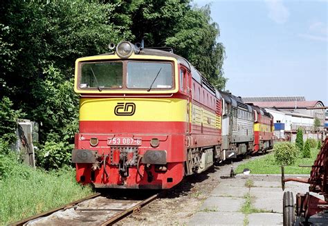753087d.jpg