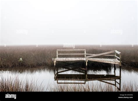 Jetty in swamp hi-res stock photography and images - Alamy