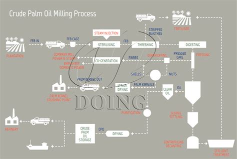 Manufacture Palm oil extraction process,Low cost price for sale_Palm ...