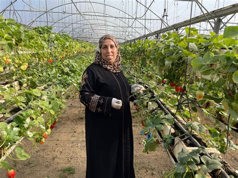 Every little bit counts: Cultivating opportunity through sustainable