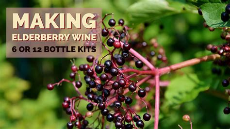 Recipe For Making Elderberry Wine 6 Or 12 Bottle Kits Love Brewing Home Brew Guides And Videos