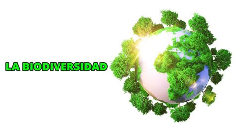 La Biodiversidad Youtube