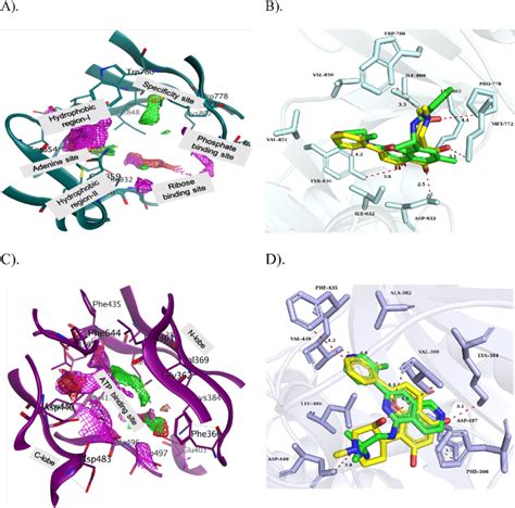 A 3d Position Of The Sub Pocket In The Atp Binding Site Of Pi3k α And