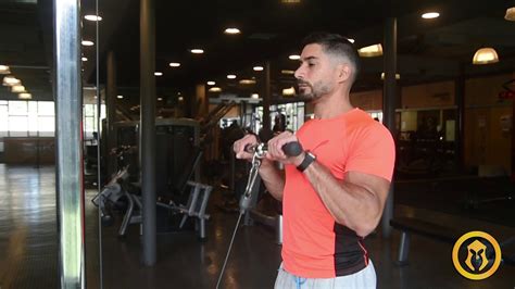 Curl De Biceps En Polea Agarre Prono Youtube