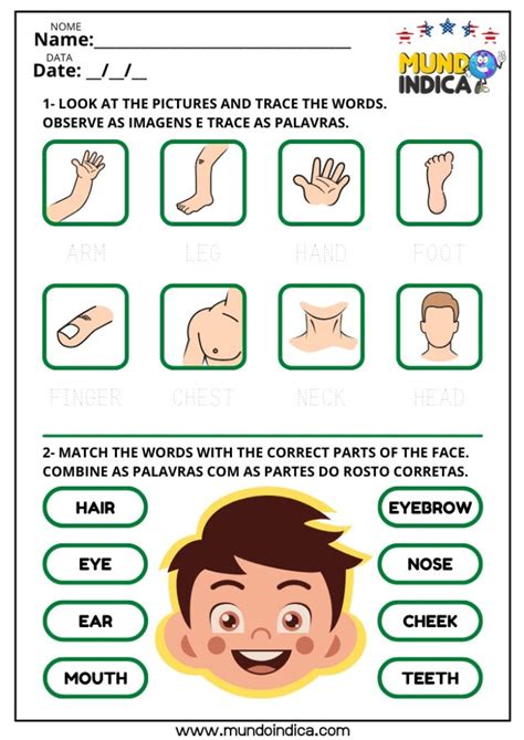 Atividades Partes Do Corpo Em Ingles - 10 Atividades de Inglês sobre Partes do Corpo Humano para Imprimir