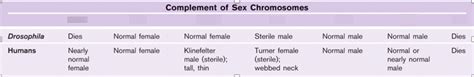 Sex Determination In Fruit Flies And Humans Diagram Quizlet