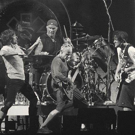 Most Popular Red Hot Chili Peppers Songs You Should Know