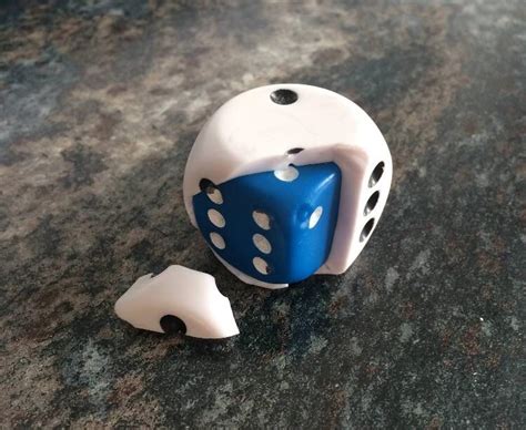 die guy puts die   die    die dies    die