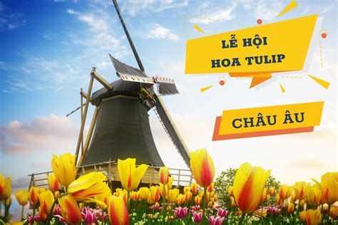 KHÁM PHÁ LỄ HỘI HOA TULIP TẠI CHÂU ÂU LỬA VIỆT TOURS Tin tức và sự