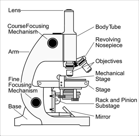 Diagram Of Microscope Parts Microscope Drawing Science Simpl