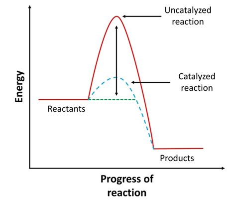 energy diagram catalyzed  uncatalyzed reaction video catalysis