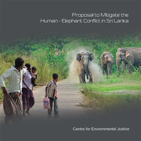 proposal  mitigate  human elephant conflict  sri lanka ejustice