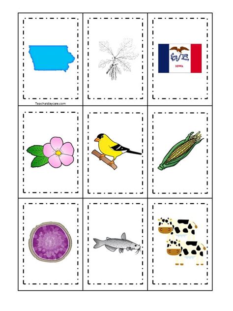 30 Iowa State Symbols themed Learning Games Download. ZIP | Etsy