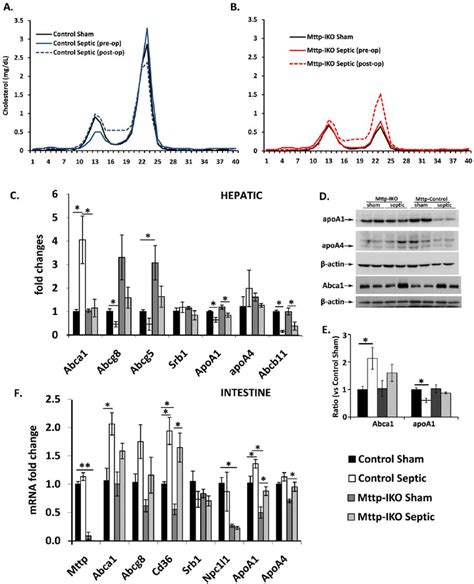 Effect Of Impaired Intestinal Lipid Transport On Serum Lipoproteins