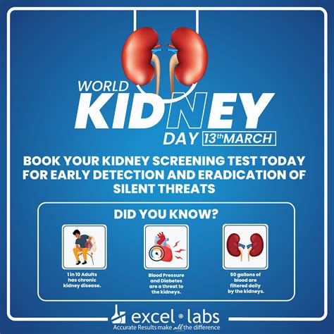 Excel - Our kidneys play a vital role in keeping us healthy, yet we