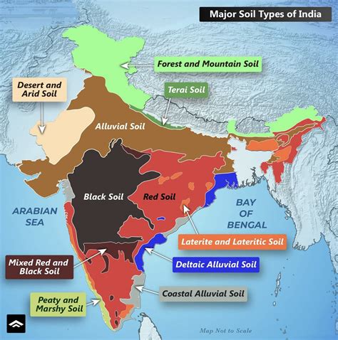 Major Soil Types