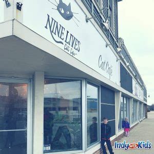 Nine Lives Cat Cafe | Indianapolis | Indy with Kids