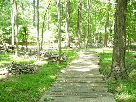 Greenbelt Park - All You Need to Know BEFORE You Go (2025)