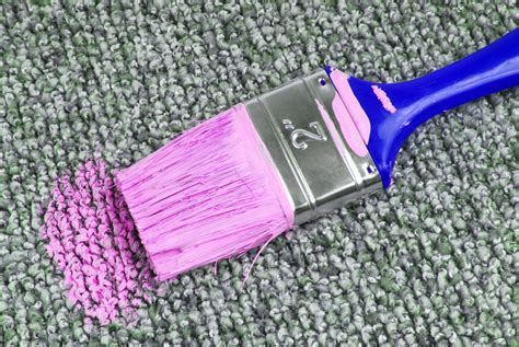 How To Remove Wet Paint From Your Carpet 1001 Carpet Care