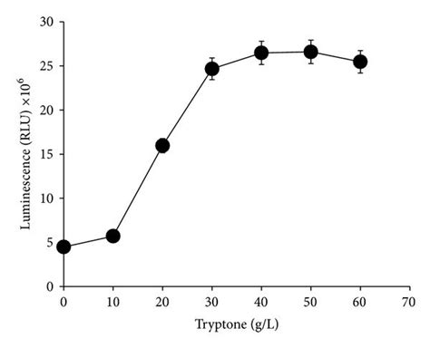 Effects Of Different Tryptone Concentrations On Bioluminescence