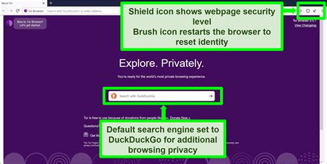 Best Browsers For Privacy In 2024 - Patti Sharity