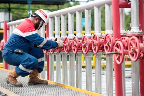 Dukung Komitmen Transisi Energi Ramah Lingkungan Pertamina Eksplor