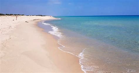 Tunisie Programme Pour Nettoyer Plages Touristiques Et Publiques