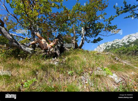 Naked Girl On A Tree Stock Photo Alamy