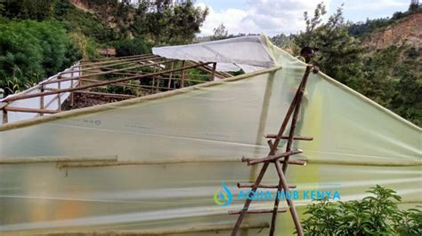 Wooden Greenhouse In Kenya Aqua Hub Kenya 0790719020